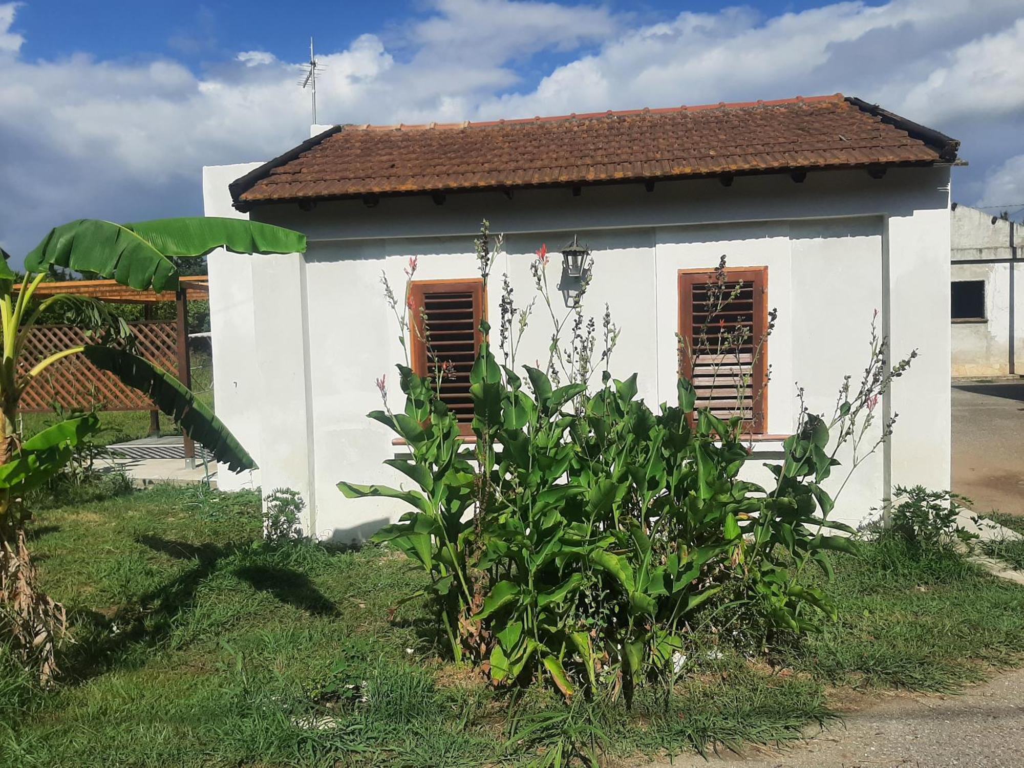 Azienda Agricola Neocastrum Ламеция-Терме Экстерьер фото